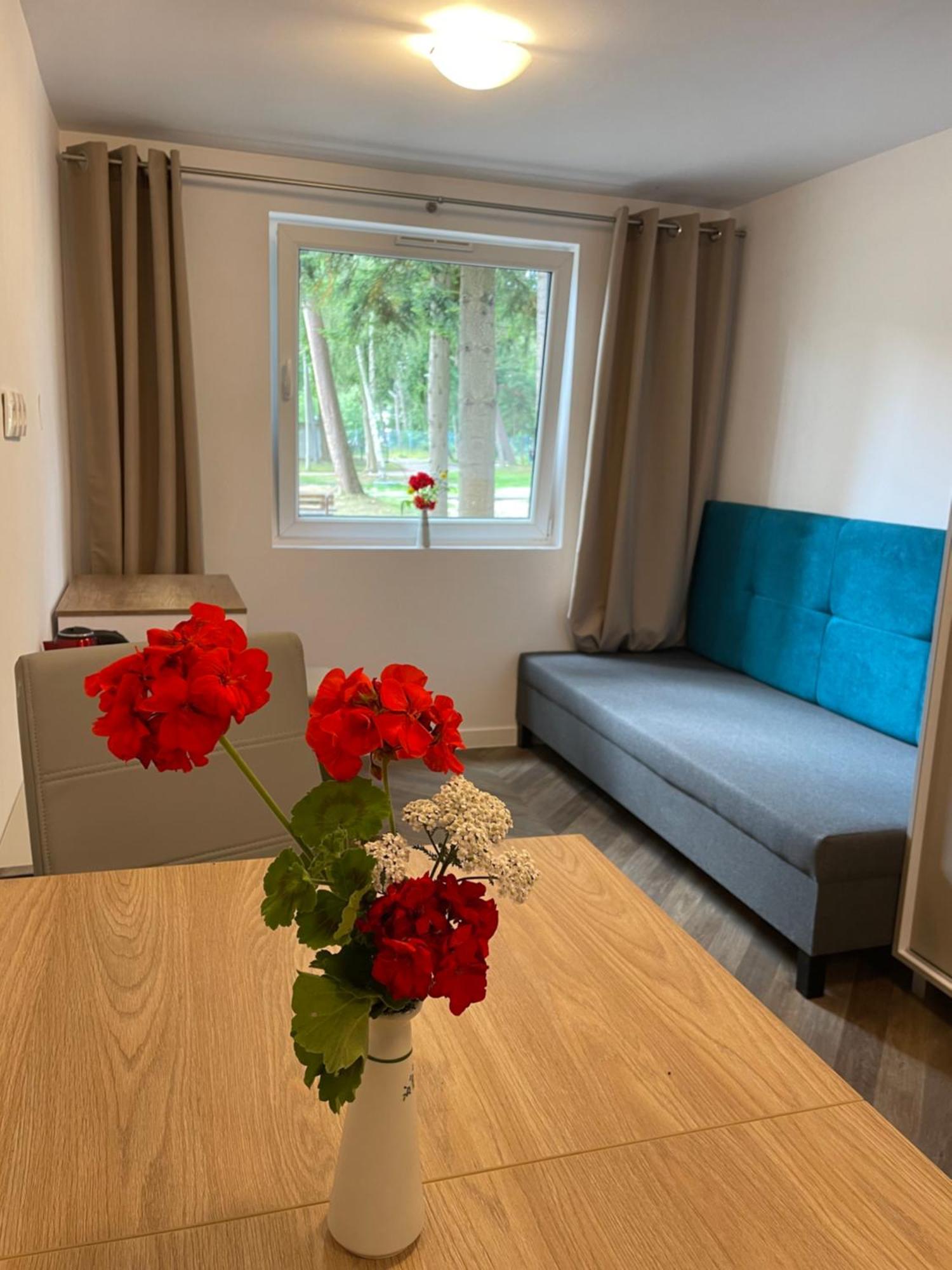 Domki Osrodek Wypoczynkowy Neptun Hotel Ujście-Darłowskie Eksteriør billede